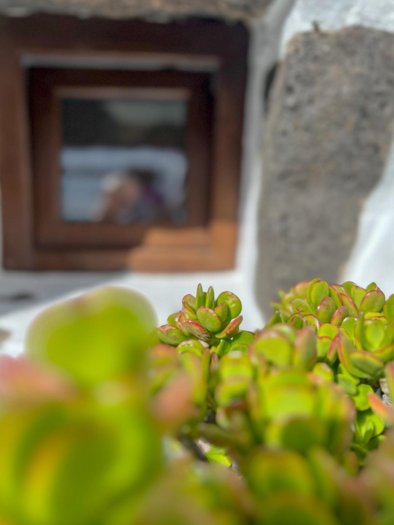 El Rincon De Aljibes Vakantiehuis *